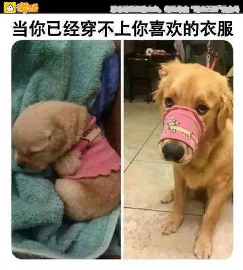当你遇到秒男时该怎么办10大糗图
