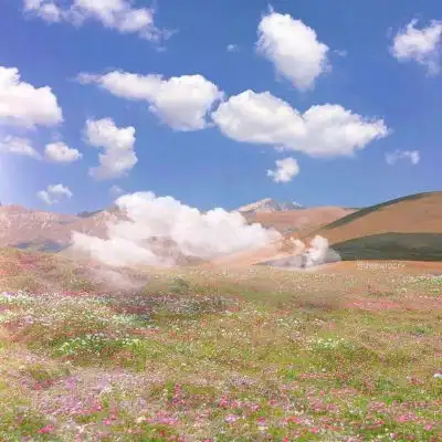 允言唯美清新花朵风景我在人风景静物头像我要个性网
