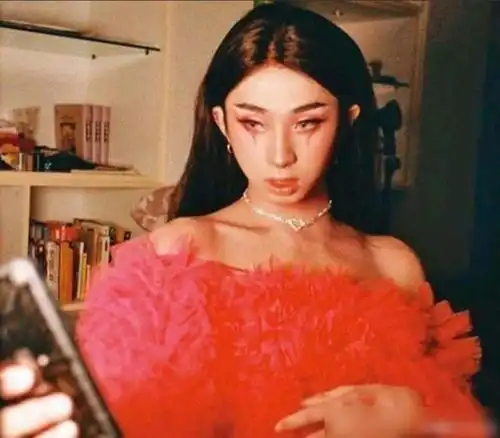 伊能静18岁儿子男扮女装曝光称每天都是女装男孩永远都是
