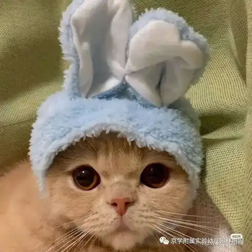 天太冷,孩子不想上幼儿园家长必看
