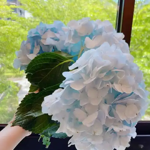 与范玮琪正式决裂梁静茹手捧鲜花庆43岁生日,7岁爱子甜蜜献吻
