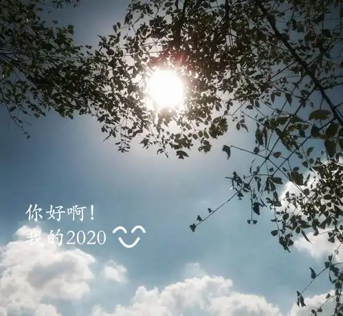 金专校园最美之声迎风而行,步履不停
