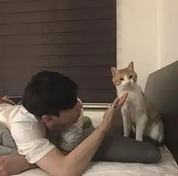 头像男抱猫朽木露琪亚