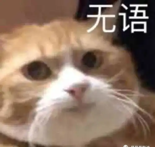 奉子成婚光速塌房
