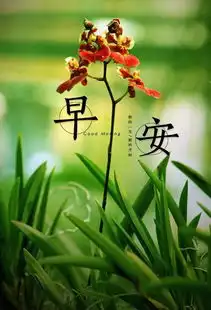 早安心语图片唯美,早安励志语录正能量成熟是,知世故而不世故
