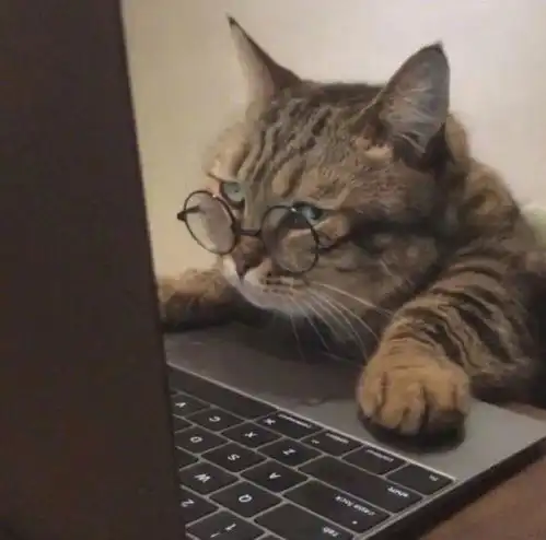 1月21日天秤座运与势
