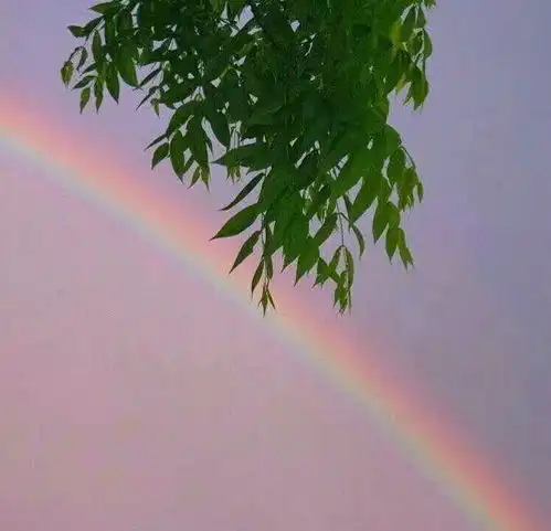 怎样的手机壁纸会显得逼格很高

