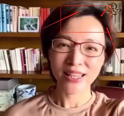 49岁董卿晒近况,剪短发秃顶成阿哥,瘦30斤满脸憔悴,丈夫成老赖
