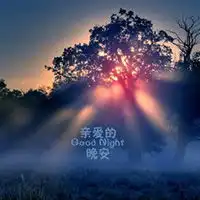 带字晚安图片大全微信头像图片大全
