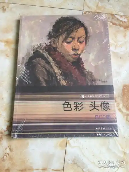 色彩头像b02册完美教学系列丛书1
