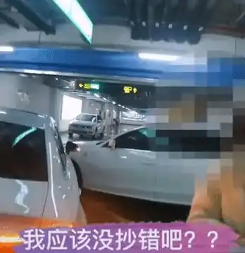 同年同月同日生两男子开同品牌车相撞,交警三连懵没抄错吧
