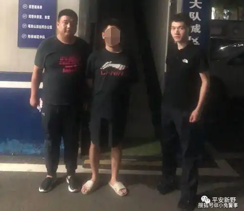 新野公安冒充客服人员进行诈骗,三男子被新野县公安局抓获
