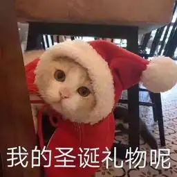 圣诞节前夕,男朋友给我送了块墓地......
