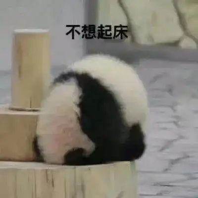 关于直男的经典文案
