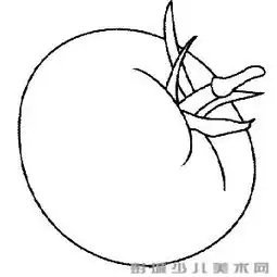 西红柿简笔画教程
