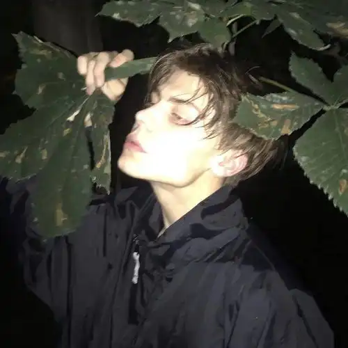 新鲜出炉的欧美头像
