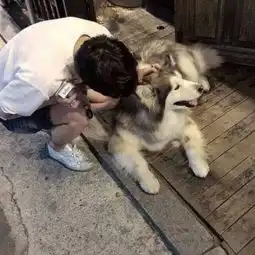 男生霸气头像超拽轻狂图片大全掐一把脸再吻下眉间
