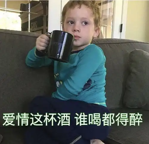 我的收藏
