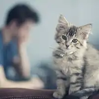 2次元图片帅哥和美女微信头像图片大全
