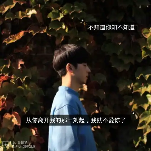 文字侧颜男头阳光伤感陪你一直堆糖,美好生活研究所
