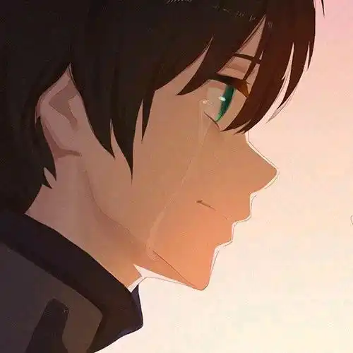 国家队02超清全面屏壁纸美图还有情头哦ω
