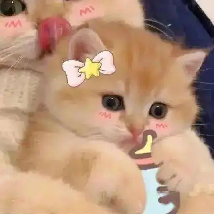 这几种头像,渣男最爱用
