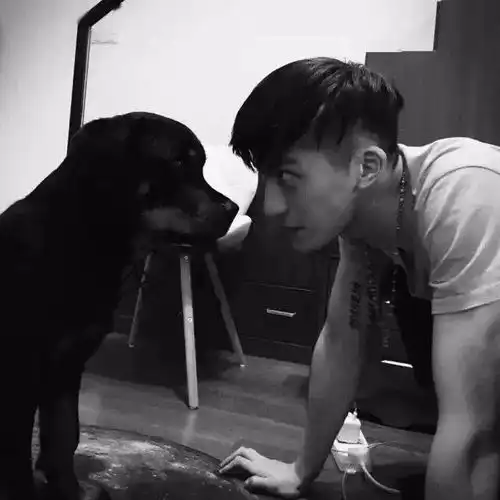 头像有些人,一旦错过了,真得谢天谢地,锣鼓喧天,鞭炮齐鸣
