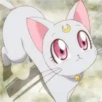 猫女生二次元萌系头像微信头像图片大全
