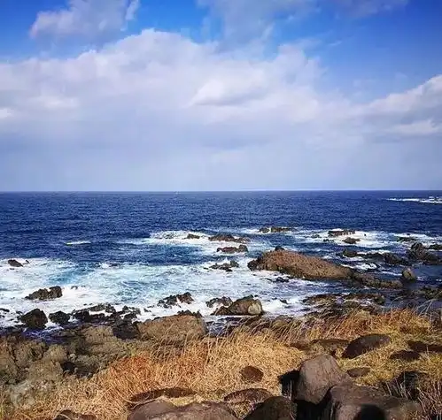 你的蛙去哪里啦你好意思说不知道吗
