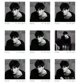 高圆圆叛逆,杨洋强迫症明星头像暴露太多秘密
