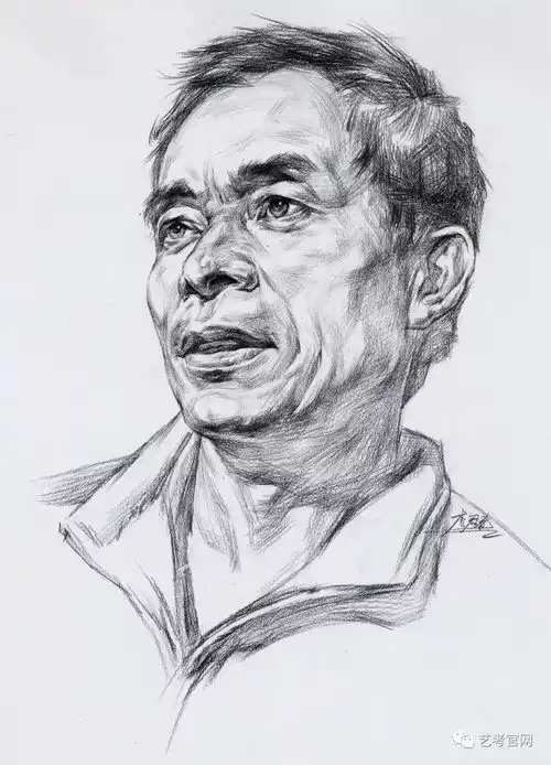 从静物到青年中年老年男女头像,高清素描结构图
