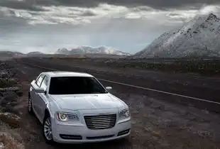 高颜有实力还是低音炮这些300c都占全了
