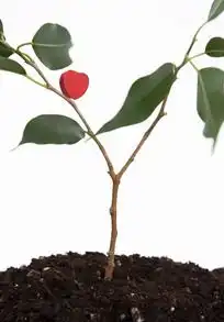 双手捧着一颗心的男人卡通漫画图片人物卡通
