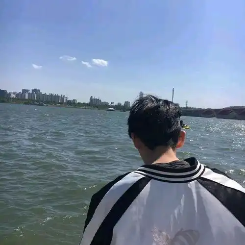 山鹤与风的祈愿
