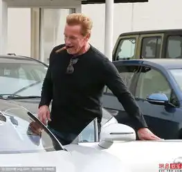 施瓦辛格开豪车炫富与女友兜风惬意十足
