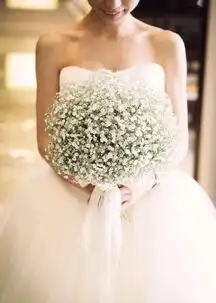 花艺干货谁还能说满天星是配角
