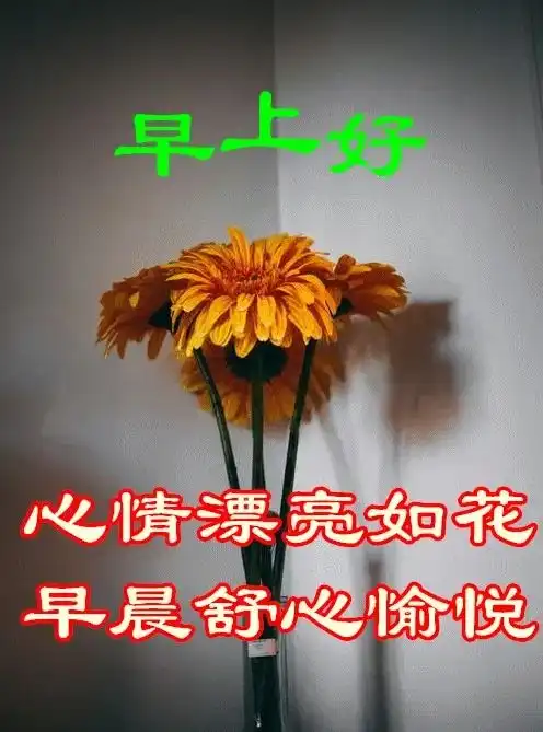 独一无二的早上好图片最美早上好祝福图片
