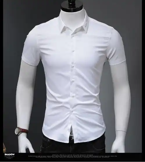 汤河之家2020夏季新款白衬衫男士青年商务修身短袖纯色刺绣职业男衬衣a
