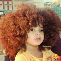 6岁男孩因天生爆炸头走红
