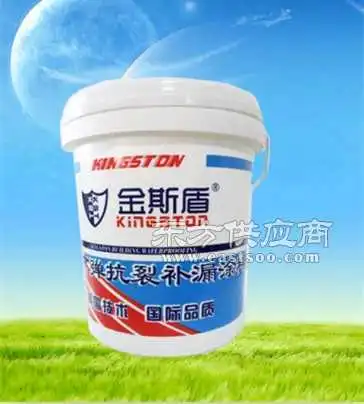 屋面补漏防水厂家图片
