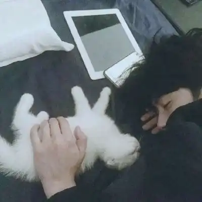 男生抱猫头像高清大全2019最新好看的男生头像帅气有气质
