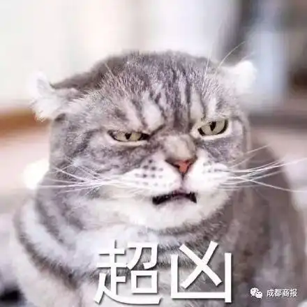 男子被家中猫咪咬了一口,数月后脑萎缩死亡吸猫人士注意,这件事情绝对不能忽视
