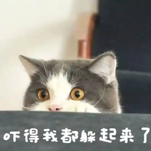 告别拖延症,晚睡的后果你承担得起吗
