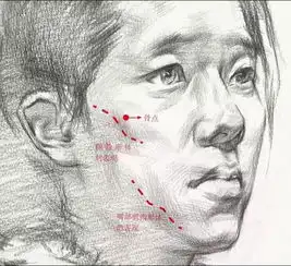 美术生联考冲刺丨素描男女脸部肌肉刻画解析和范画欣赏

