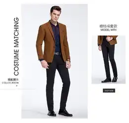 tries才子男装2016秋季新品男士商务正装西服修身休闲绅士便西

