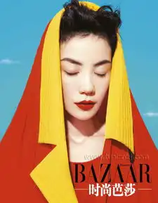王菲红色外衣写真图片明艳动人
