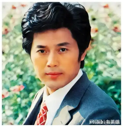 八十年代当红男影星周里京唐国强马晓伟郭凯敏迟志强
