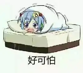 床单十天不换有多可怕
