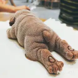 鹿谷制茶美景万科店的小奶狗好不好吃用户评价口味怎么样郑州美食小奶狗实拍图片大众点评
