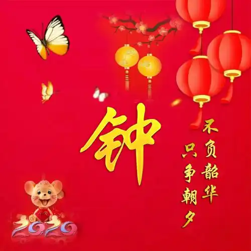 2020只争朝夕不负韶华微信头像图片
